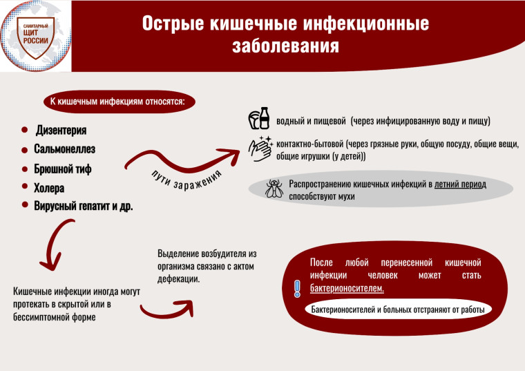 Обучающие материалы для повышения гигиенической грамотности..